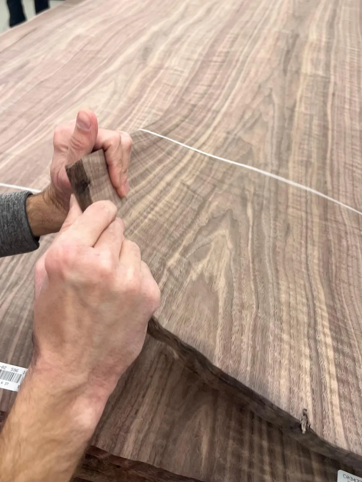 Hands inspecting a veneer sheet