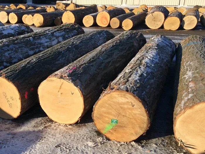 Holz- und Furnierlager in Valencia