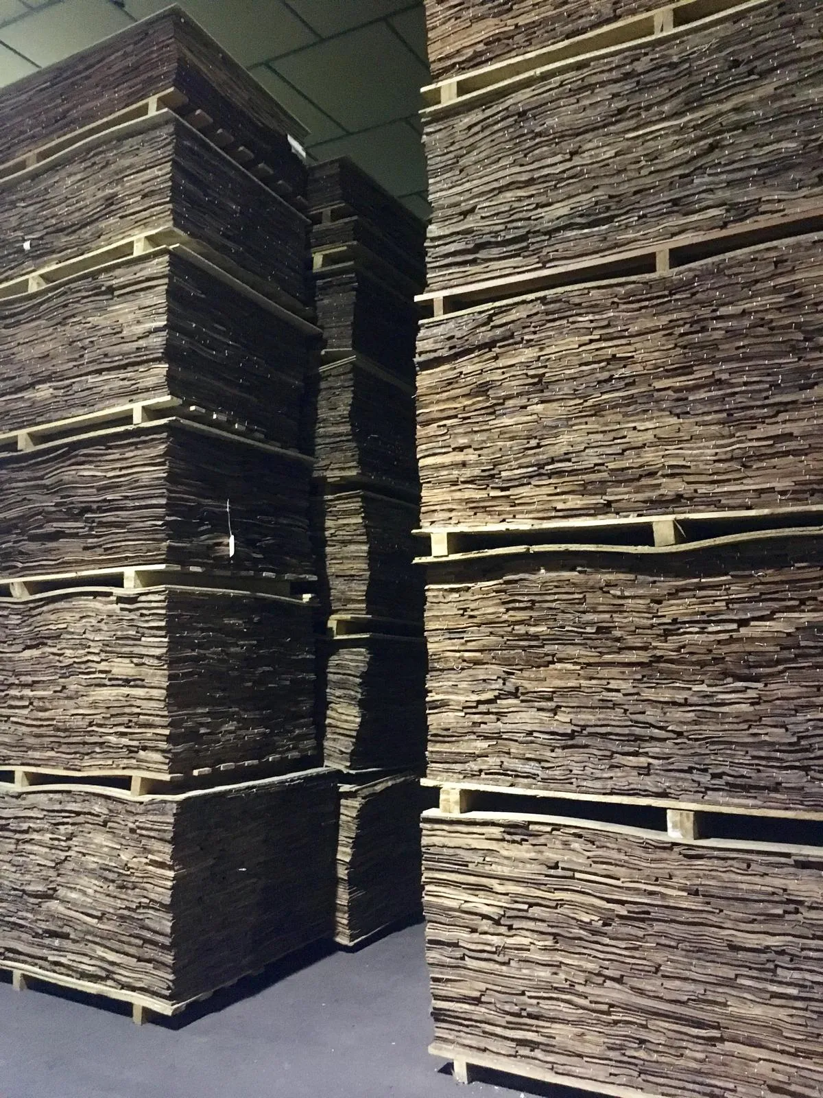 Veneer bundles stacked on pallets